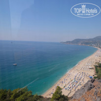 фото из отзыва ID 1909987