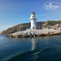 фото из отзыва ID 1909987