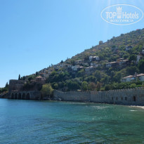 фото из отзыва ID 1909987