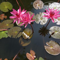 фото из отзыва ID 1909990