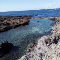 фото из отзыва ID 1901875