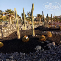 фото из отзыва ID 1901875