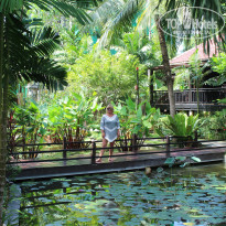 фото из отзыва ID 1906636