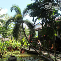 фото из отзыва ID 1906636