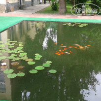 фото из отзыва ID 1909715