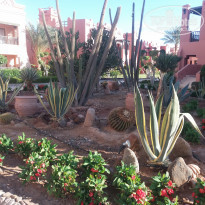 фото из отзыва ID 1901012