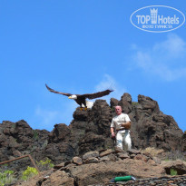 фото из отзыва ID 191101