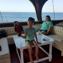 фото из отзыва ID 1910001