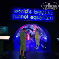 фото из отзыва ID 1910001