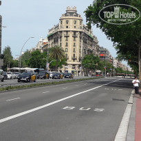 фото из отзыва ID 1910032