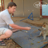 фото из отзыва ID 1910087