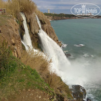 фото из отзыва ID 1910180