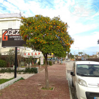 фото из отзыва ID 1910180