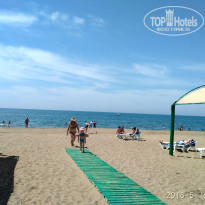 фото из отзыва ID 1910372