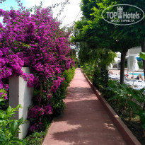 фото из отзыва ID 1910372