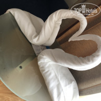 фото из отзыва ID 1910404