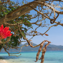 фото из отзыва ID 1910405