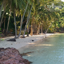 фото из отзыва ID 1910405