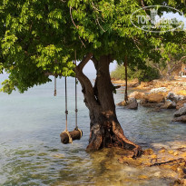 фото из отзыва ID 1910405