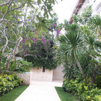 фото из отзыва ID 1910435