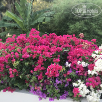 фото из отзыва ID 1910503