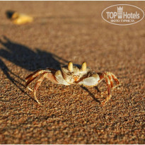 фото из отзыва ID 1910580