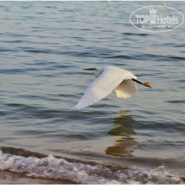 фото из отзыва ID 1910580