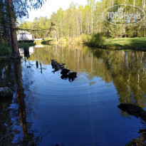 фото из отзыва ID 1910598