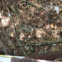 фото из отзыва ID 1910596