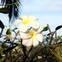 фото из отзыва ID 1910653