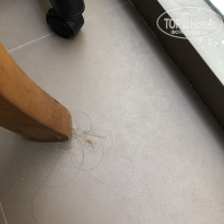 фото из отзыва ID 1910860