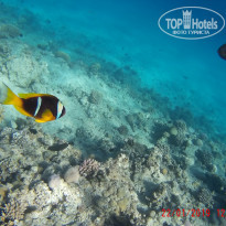 фото из отзыва ID 1910890