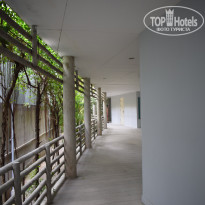 фото из отзыва ID 1910938