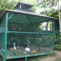 фото из отзыва ID 1911000