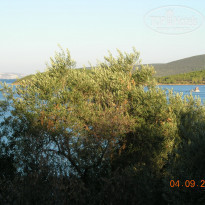 фото из отзыва ID 1911009