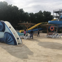 фото из отзыва ID 1911047