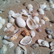 фото из отзыва ID 1911056