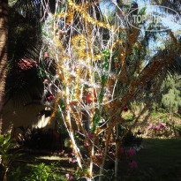 фото из отзыва ID 1911056