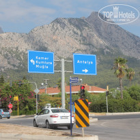 фото из отзыва ID 1911167