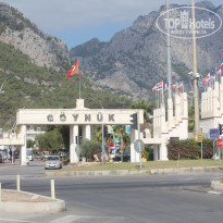 фото из отзыва ID 1911167