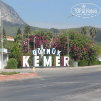 фото из отзыва ID 1911167