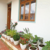 фото из отзыва ID 1911329