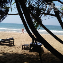 фото из отзыва ID 1911351