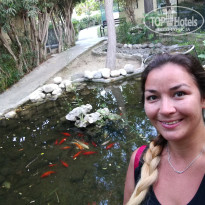 фото из отзыва ID 1911405