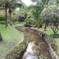 фото из отзыва ID 1911464