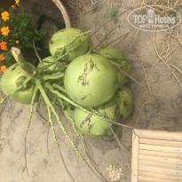 фото из отзыва ID 1911536