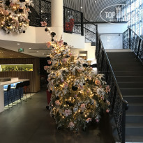 фото из отзыва ID 1911546