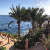 фото из отзыва ID 1911602