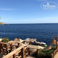 фото из отзыва ID 1911602