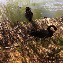 фото из отзыва ID 1911642